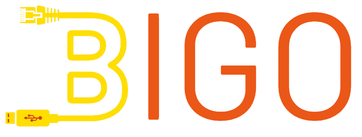 Bigo Informatica